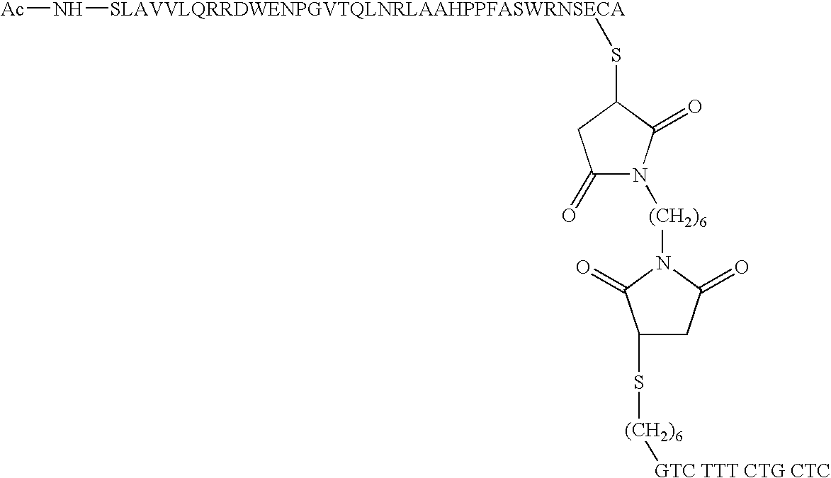 Short enzyme donor fragment