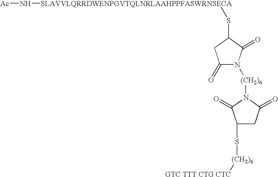 Short enzyme donor fragment