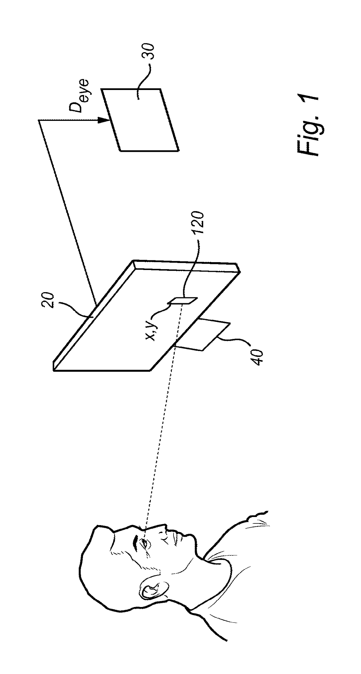 System for gaze interaction