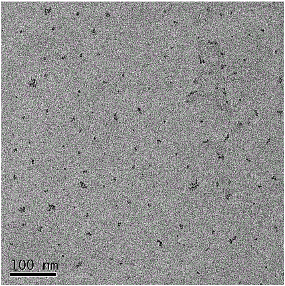 Preparation method and application of metal sulfur-group compound multifunctional nano probe