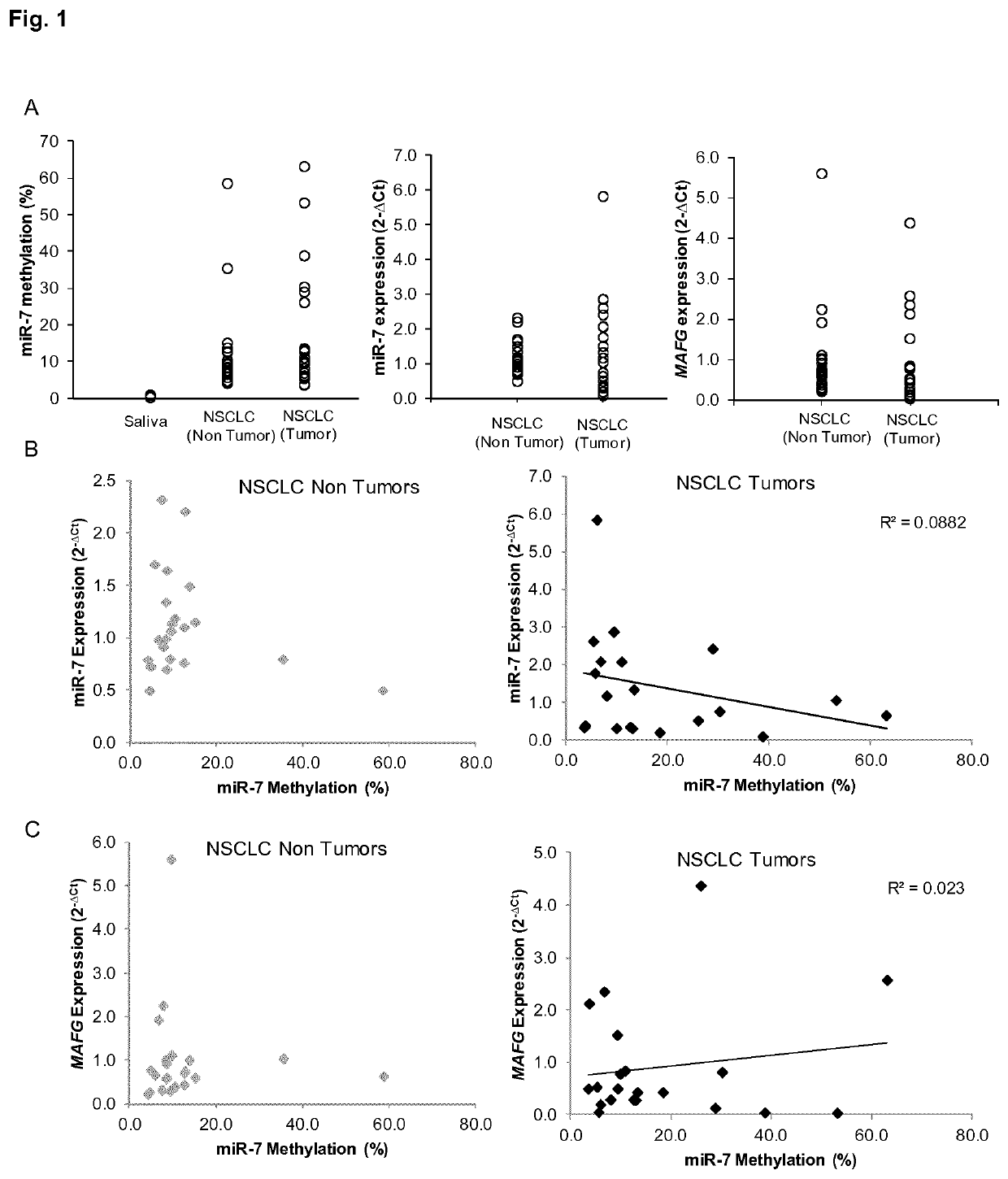 Mafg as a potential therapeutic target to restore chemosensitivity in platinum-resistant cancer cells