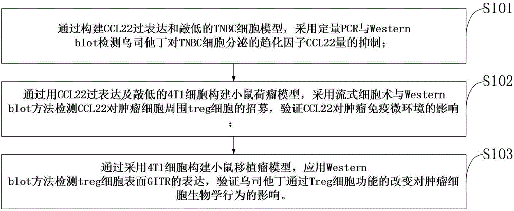 Method for constructing model of treating triple negative breast cancer with ulinastatin