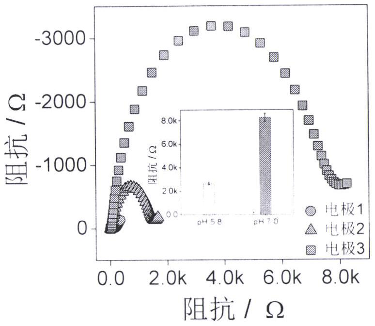 Construction and application of terminal transferase activity dynamic analysis method based on alternating-current impedance technology