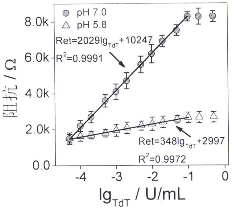 Construction and application of terminal transferase activity dynamic analysis method based on alternating-current impedance technology