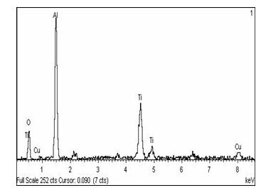 Marine life corrosion-resistant ceramic coating and preparation method thereof