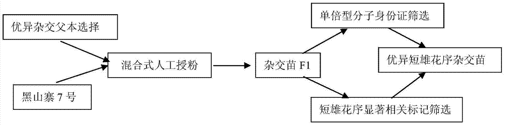 Molecular Breeding Method of Chestnut Varieties with Short Stamens