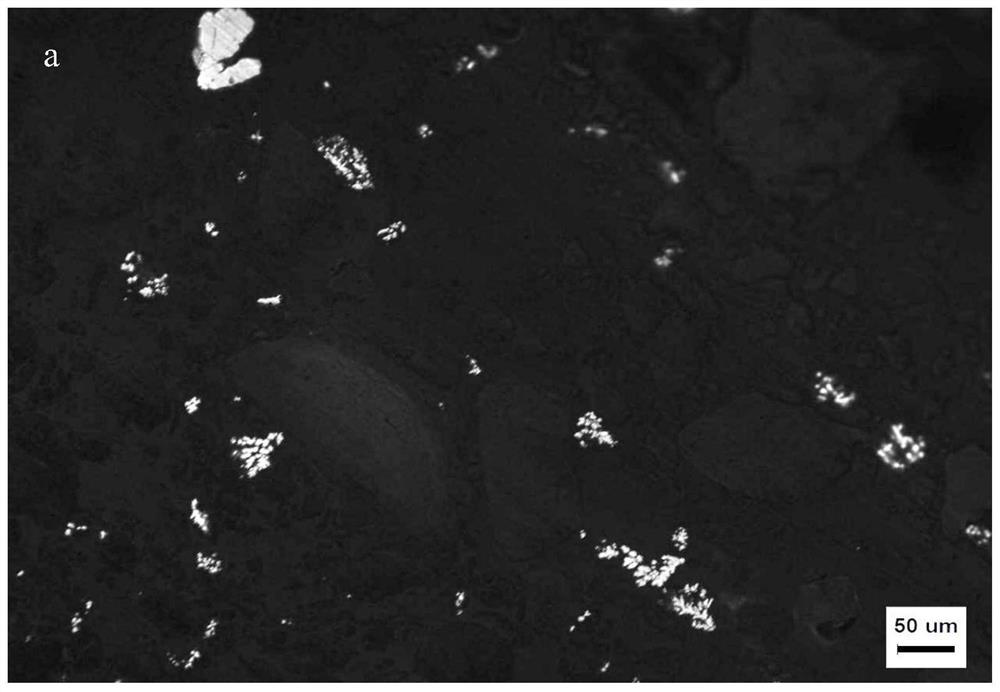 A kind of preparation method of manganese dioxide-conductive polypropylene composite anode plate