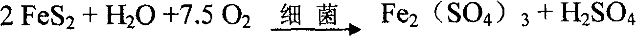 Gold extraction process with low pollution and high recovery for refractory gold concentrate