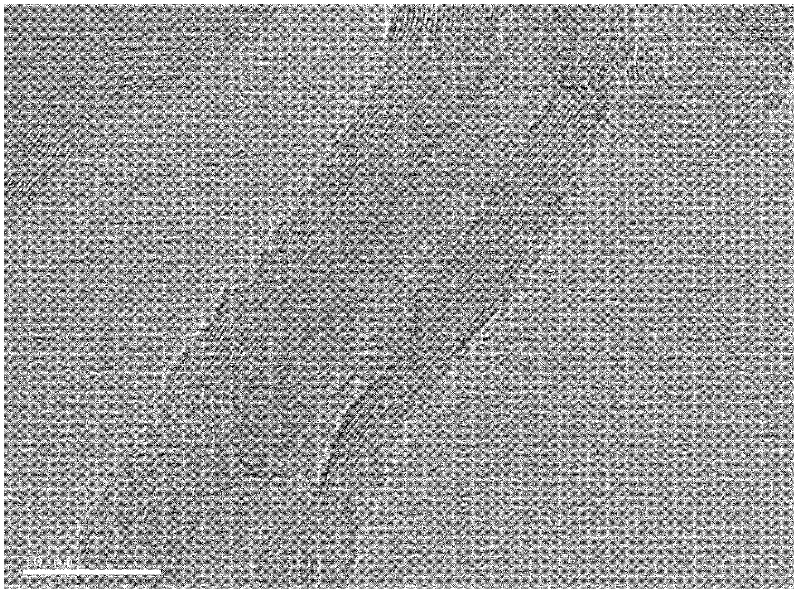 A low-temperature preparation method of carbon nanotubes