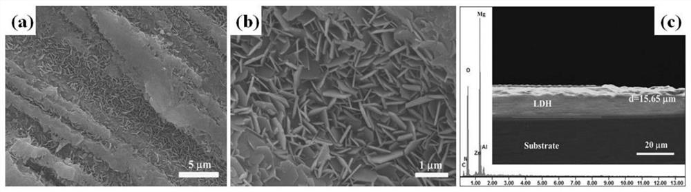 Preparation method of amino acid ion intercalated ZnAl-LDHs film