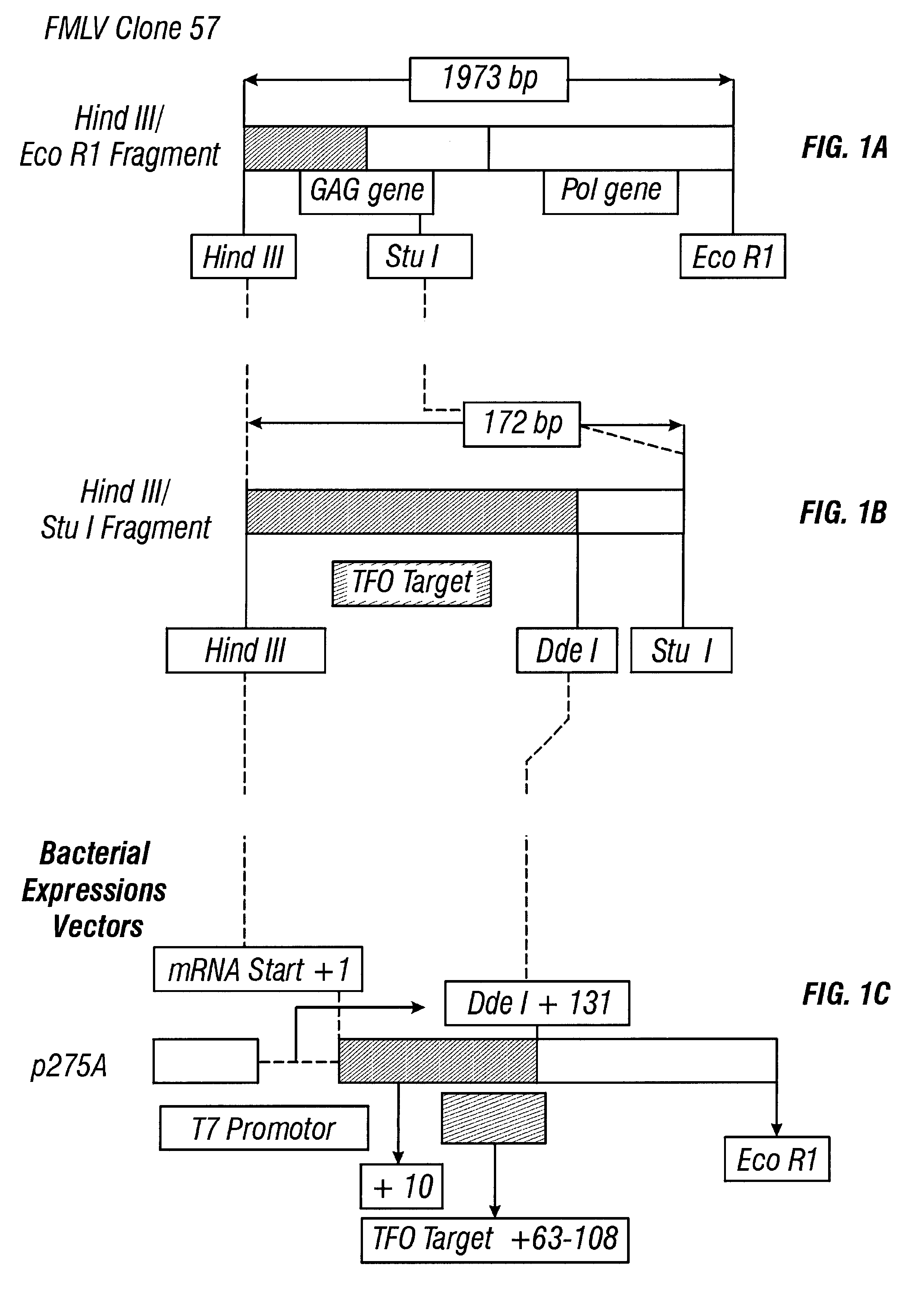 Guanosine-rich oligonucleotide integrase inhibitors