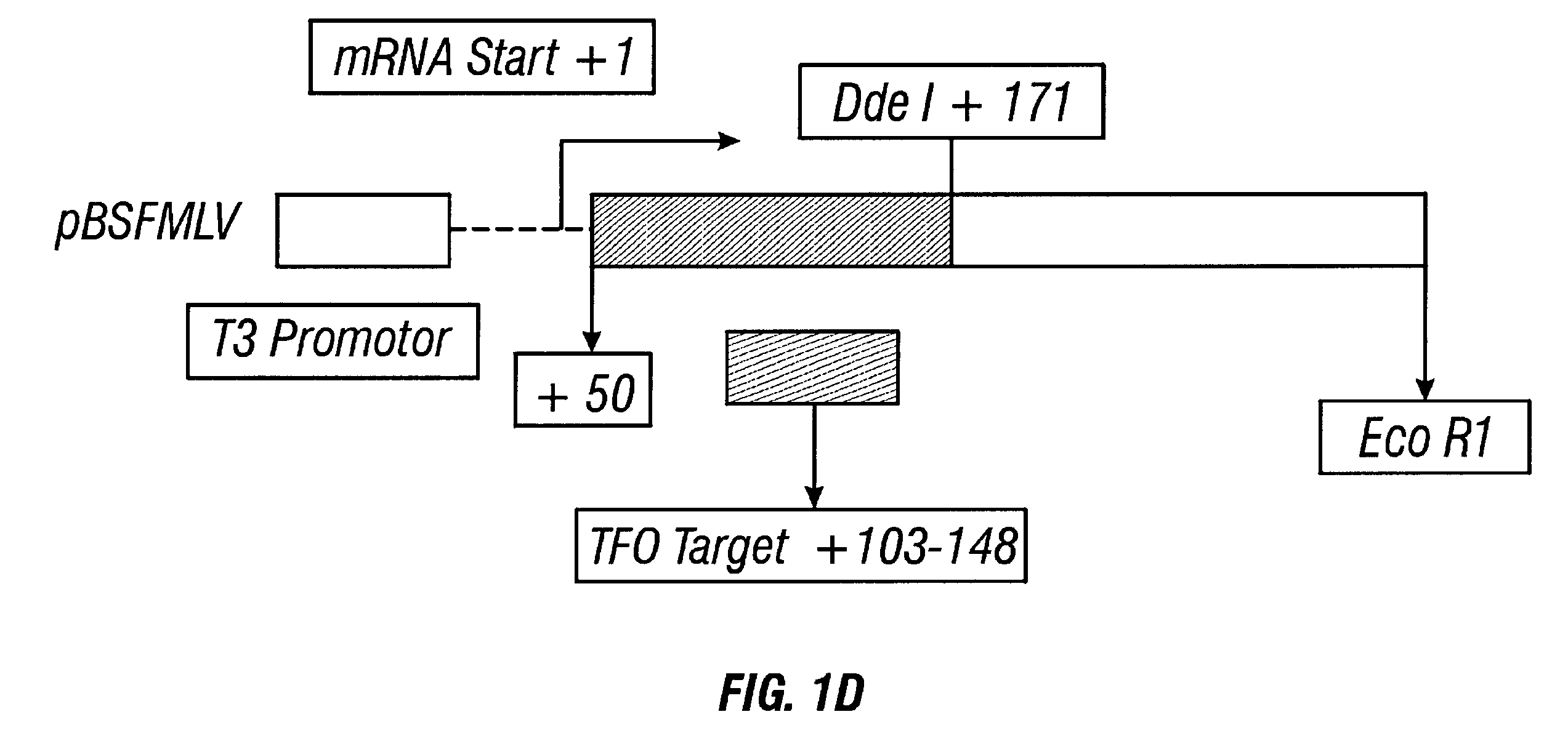 Guanosine-rich oligonucleotide integrase inhibitors