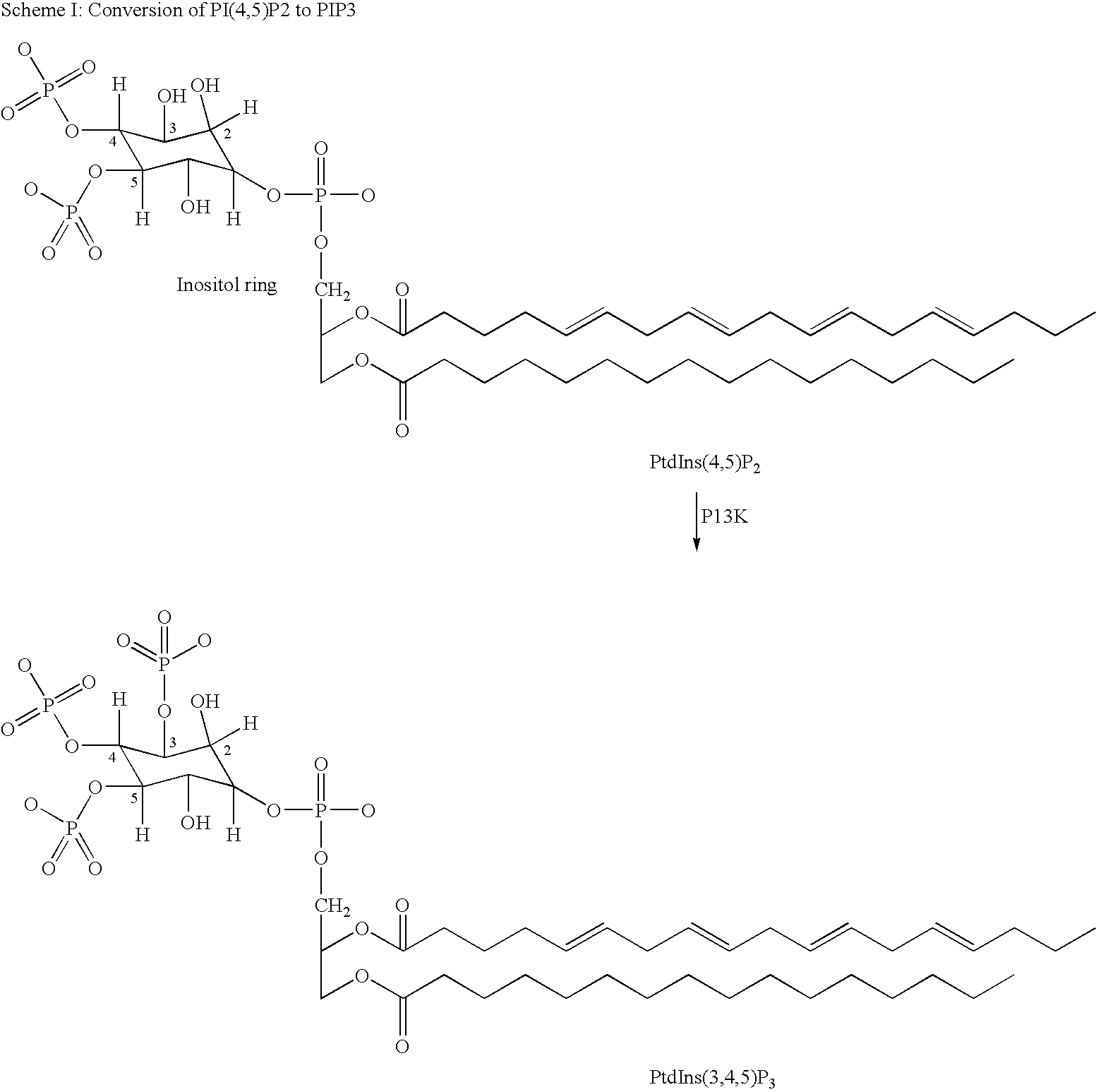 Quinoline derivatives as p13 kinase inhibitors