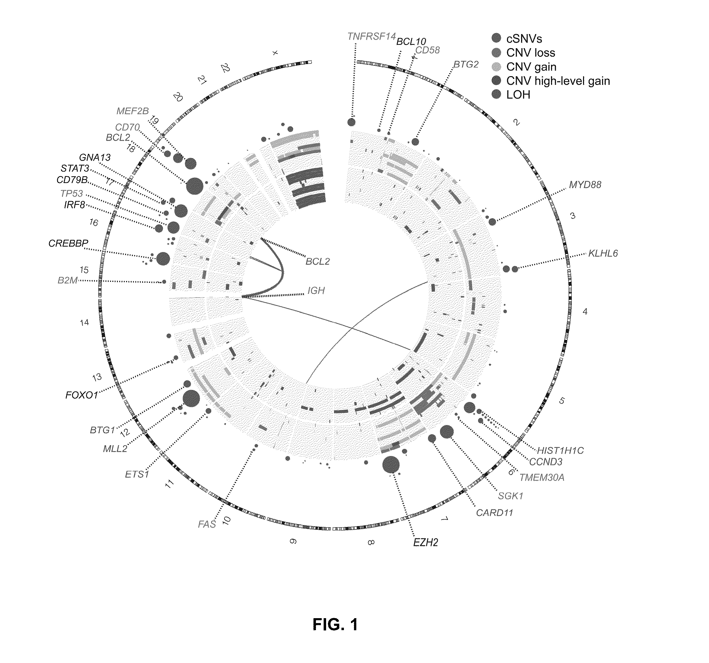 Biomarkers for Non-Hodgkin Lymphomas and Uses Thereof