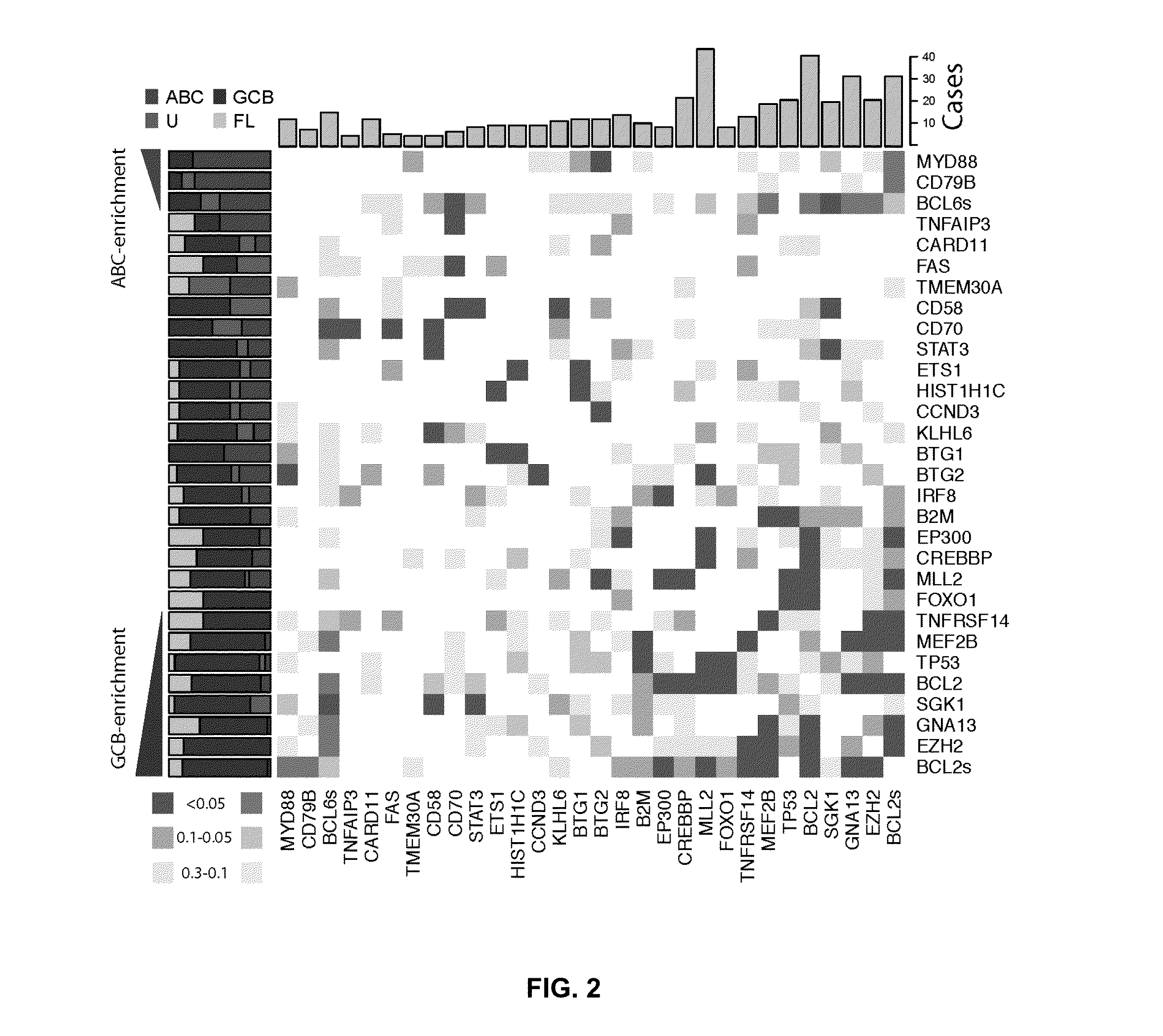 Biomarkers for Non-Hodgkin Lymphomas and Uses Thereof