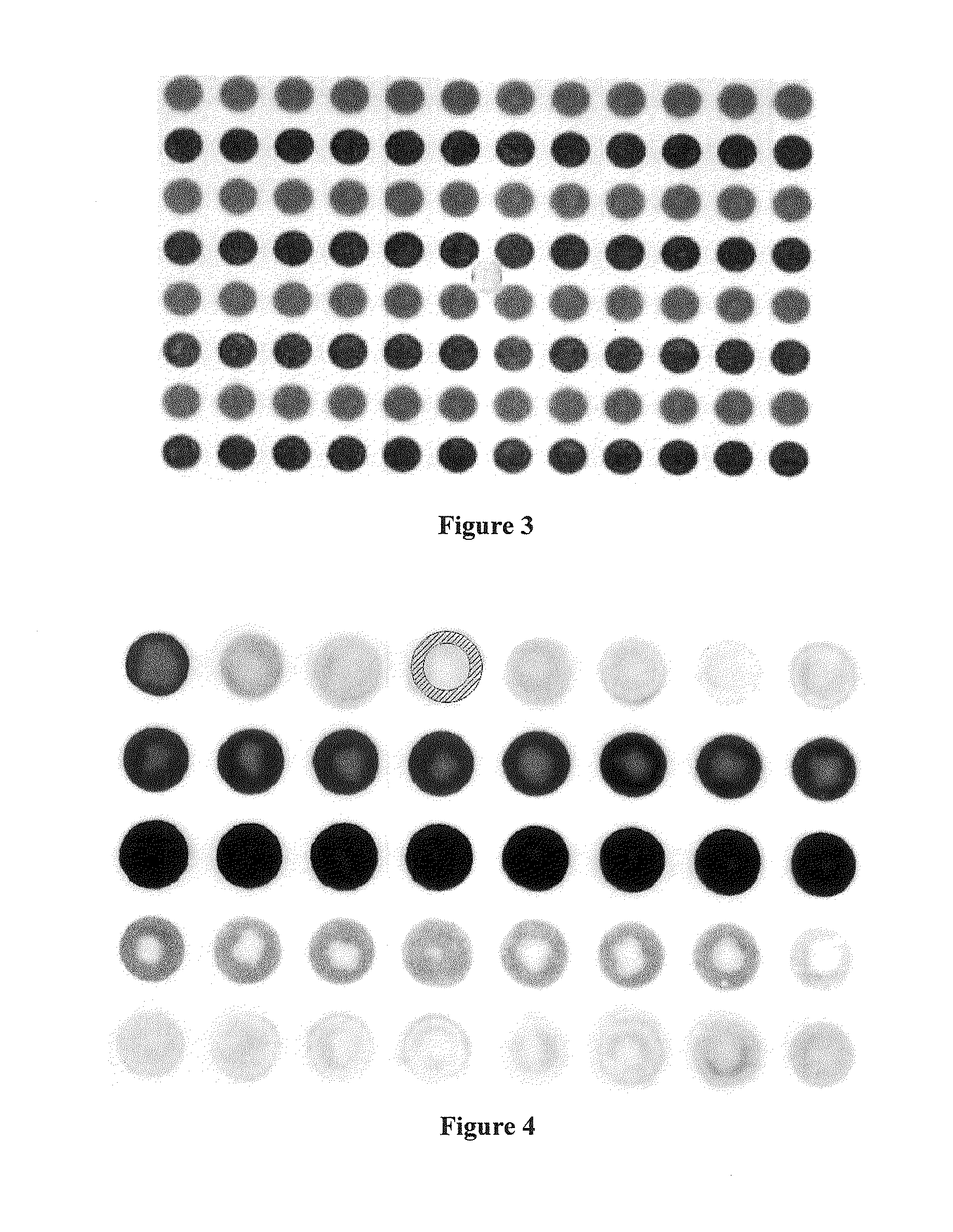 Multi-well plate with filter medium, and use thereof