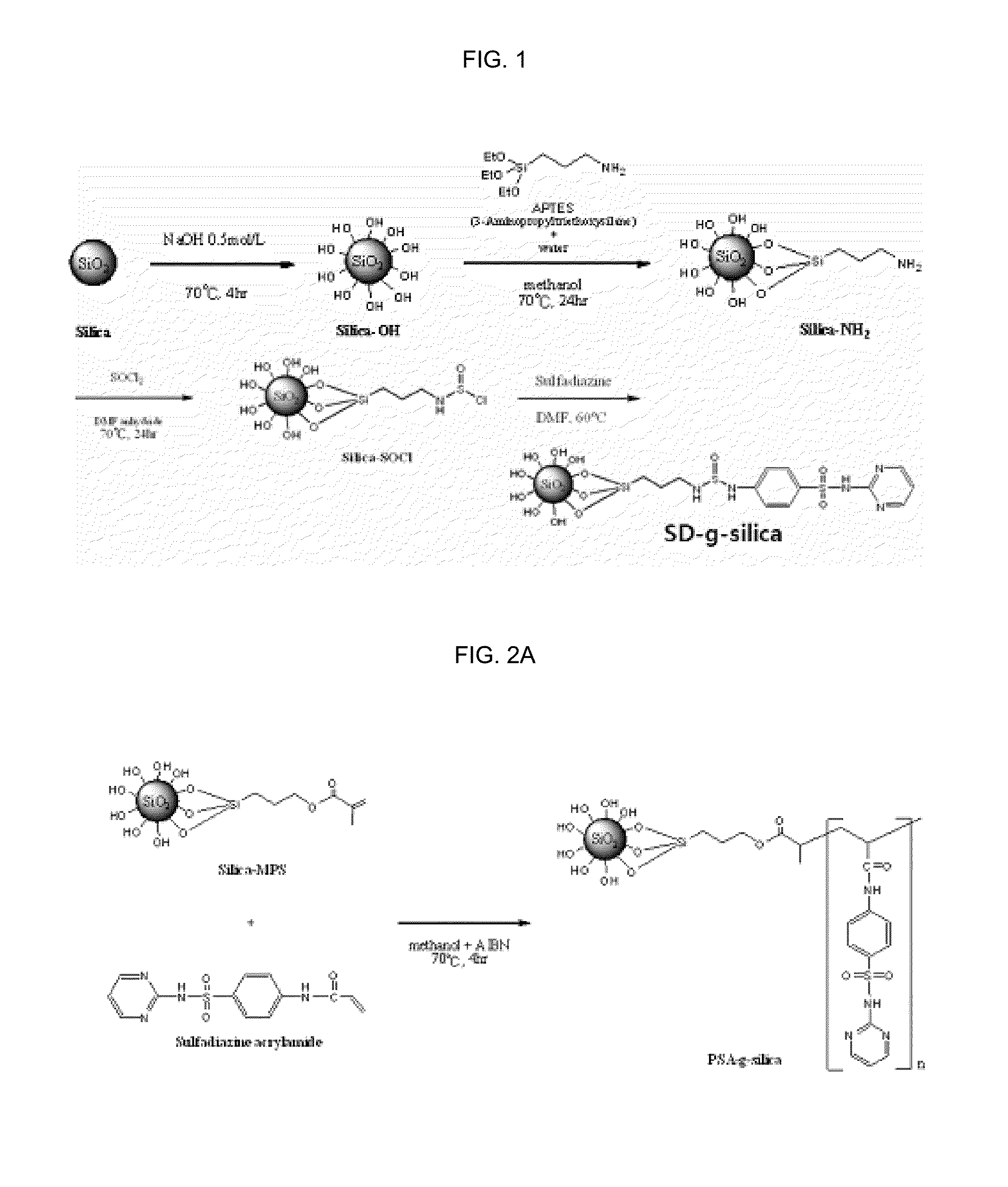 Membranes having antibiotic and hydrophilic properties and preparation method thereof