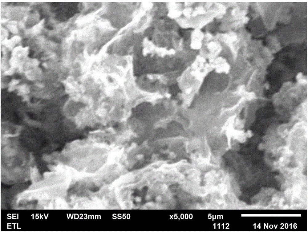 Nitrogen-doped niobium carbide nanosheets and preparation method thereof