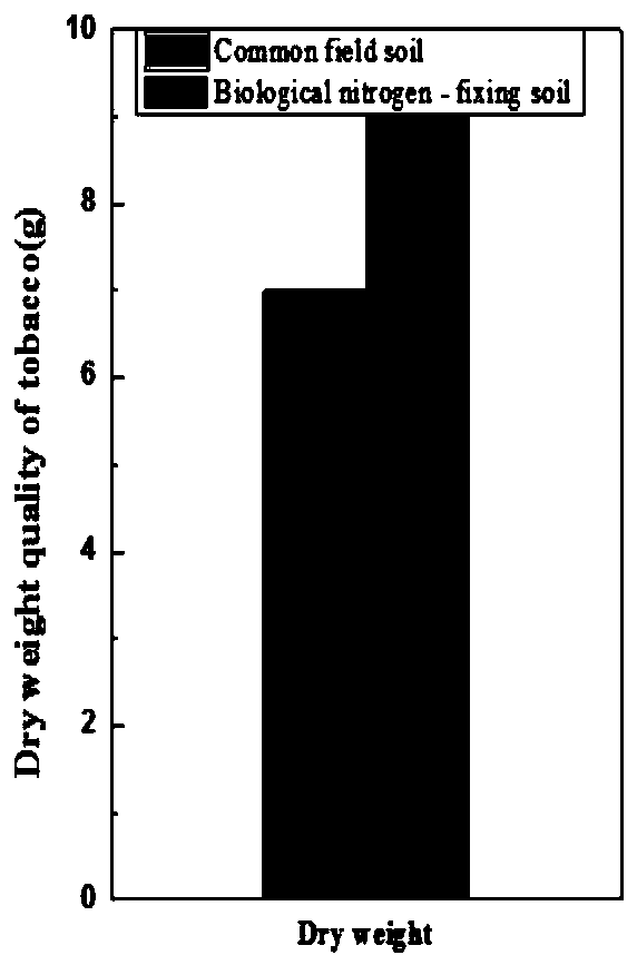 Bioorganic soil for obtaining high-quality tobacco, and preparation method thereof