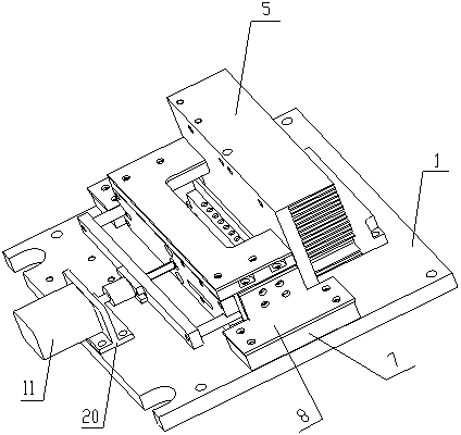 Rapid real-time DNA amplifying equipment and gene mutation detection method