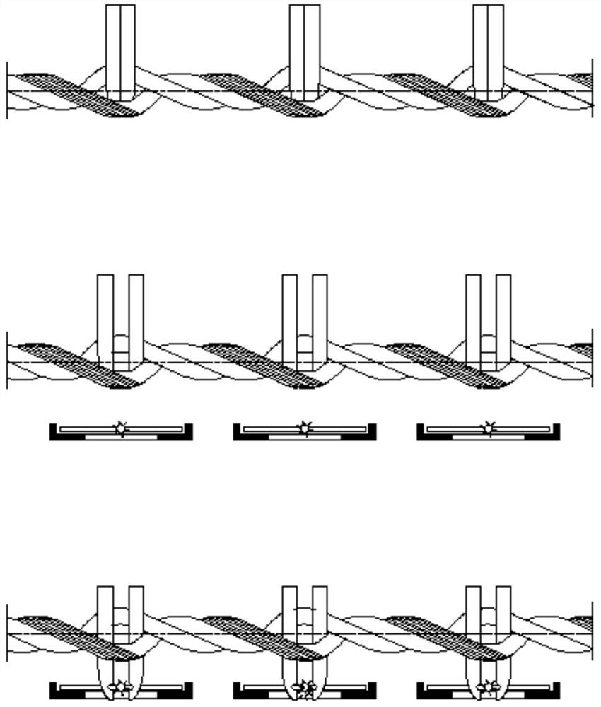 Device and method for vertically clamping seedlings of kelp in rows