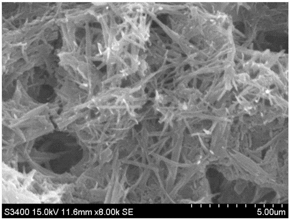 Preparation method of C3N4 nanowire