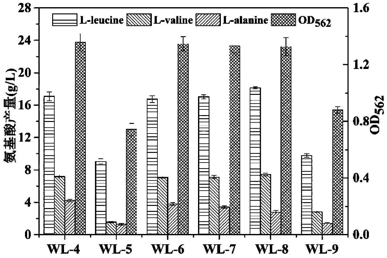 Corynebacterium glutamicum recombinant bacterium capable of effectively using pyruvic acid and construction method and application of corynebacterium glutamicum recombinant bacterium