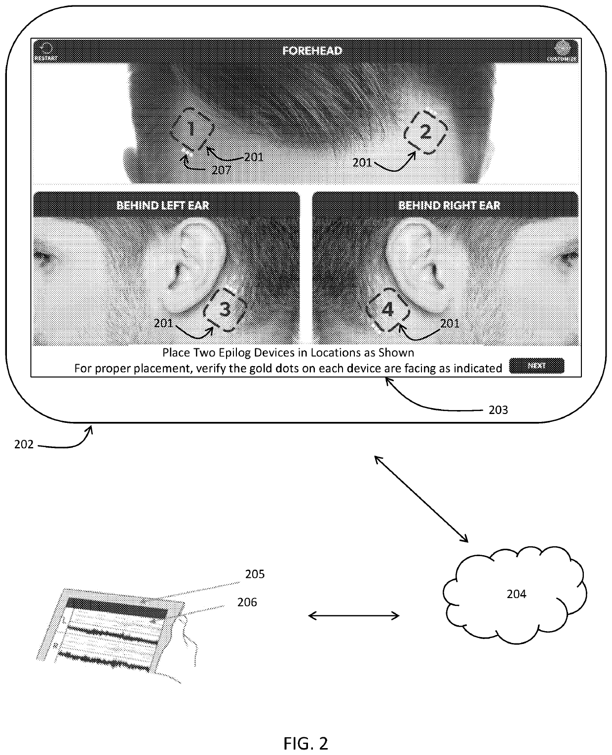 Eeg recording and analysis