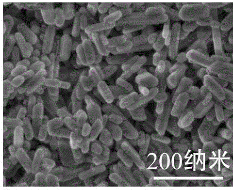 Method for preparation of hydroxyapatite nanorod and nanowire by hydrothermal process