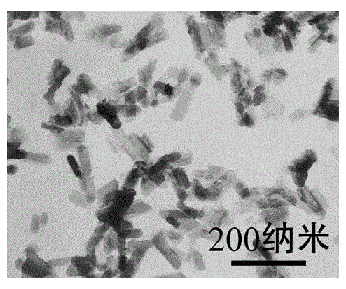 Method for preparation of hydroxyapatite nanorod and nanowire by hydrothermal process