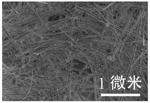 Method for preparation of hydroxyapatite nanorod and nanowire by hydrothermal process