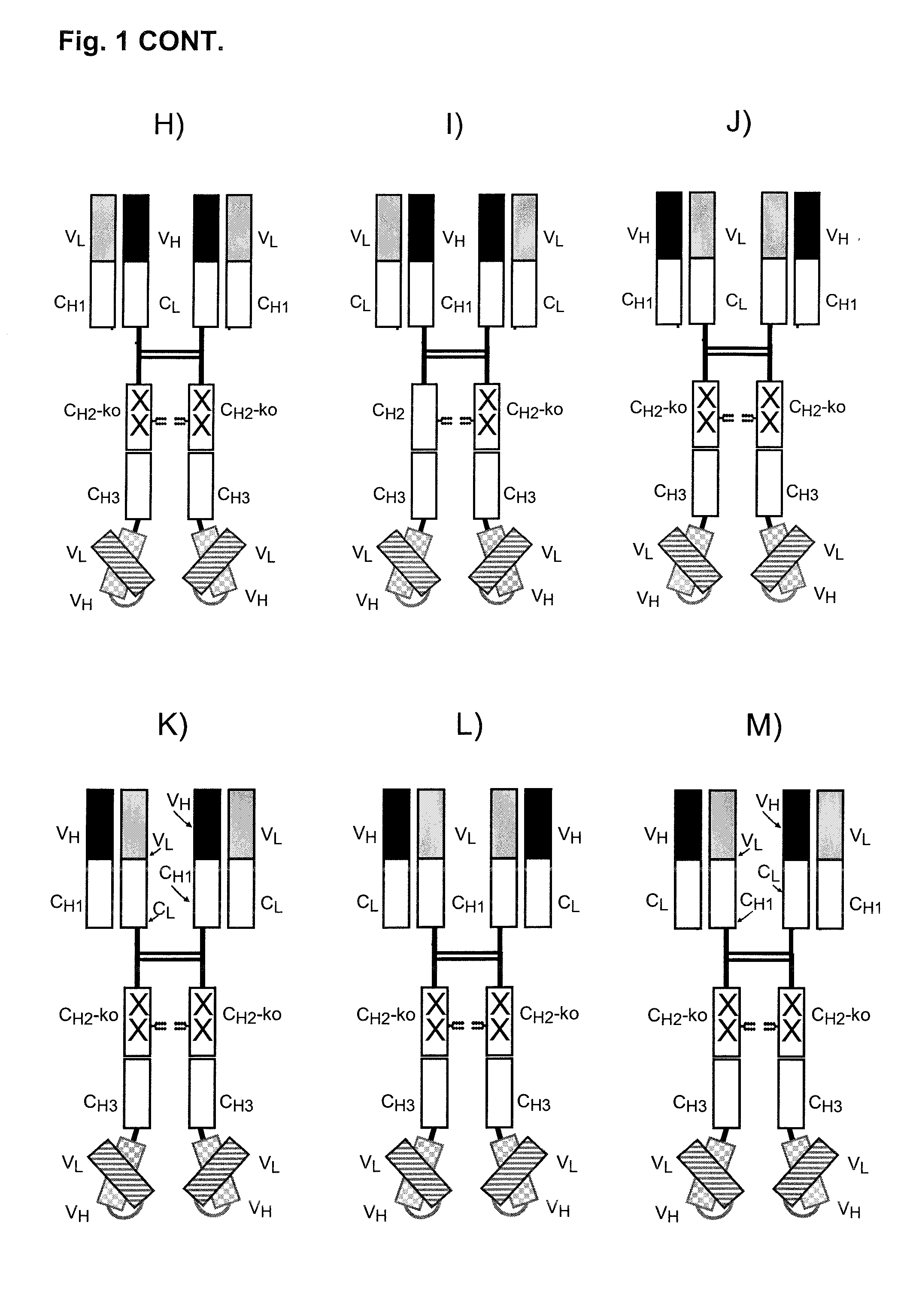 Bispecific antibody molecule