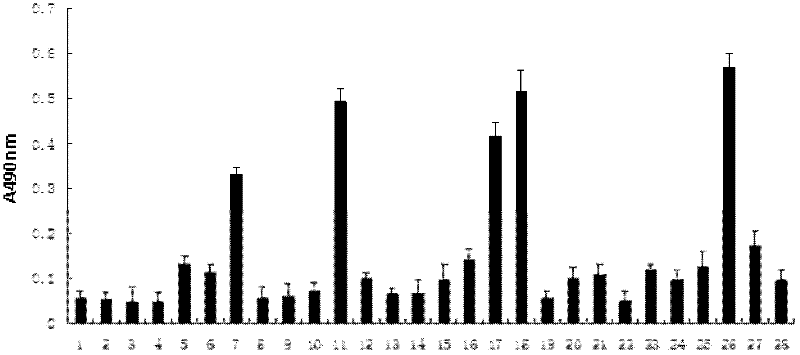 Polypeptide for inhibiting hepatitis C virus infected cell and application thereof