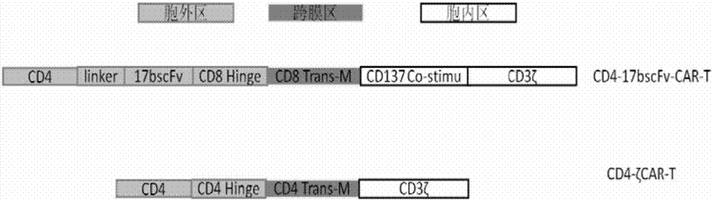 Double-target spot embedded antigen receptor, encoding gene thereof, plasmid containing gene, immune T effect cell containing cell and application of cell for HIV-1