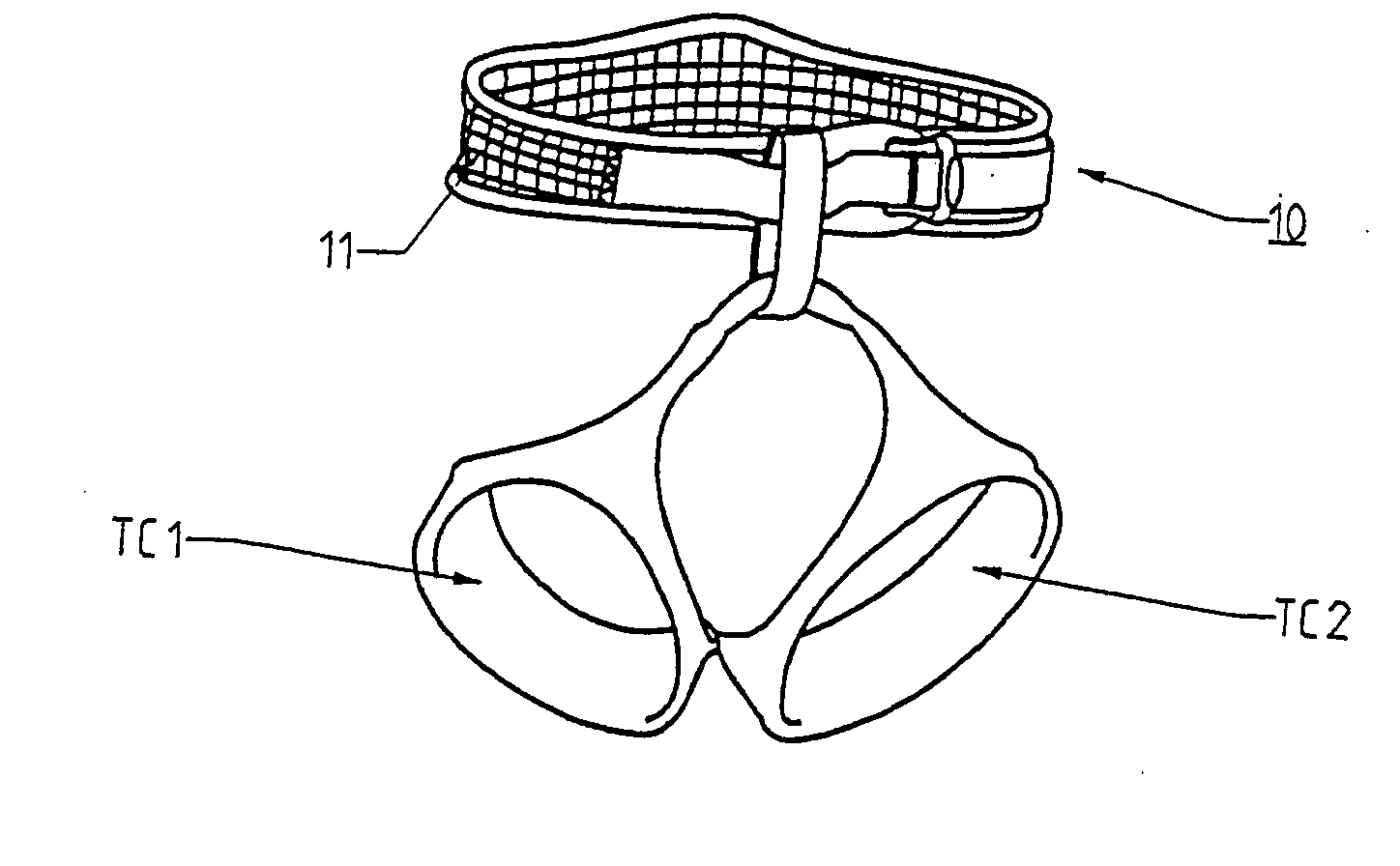 Safety Harness Equipped with an Improved Belt