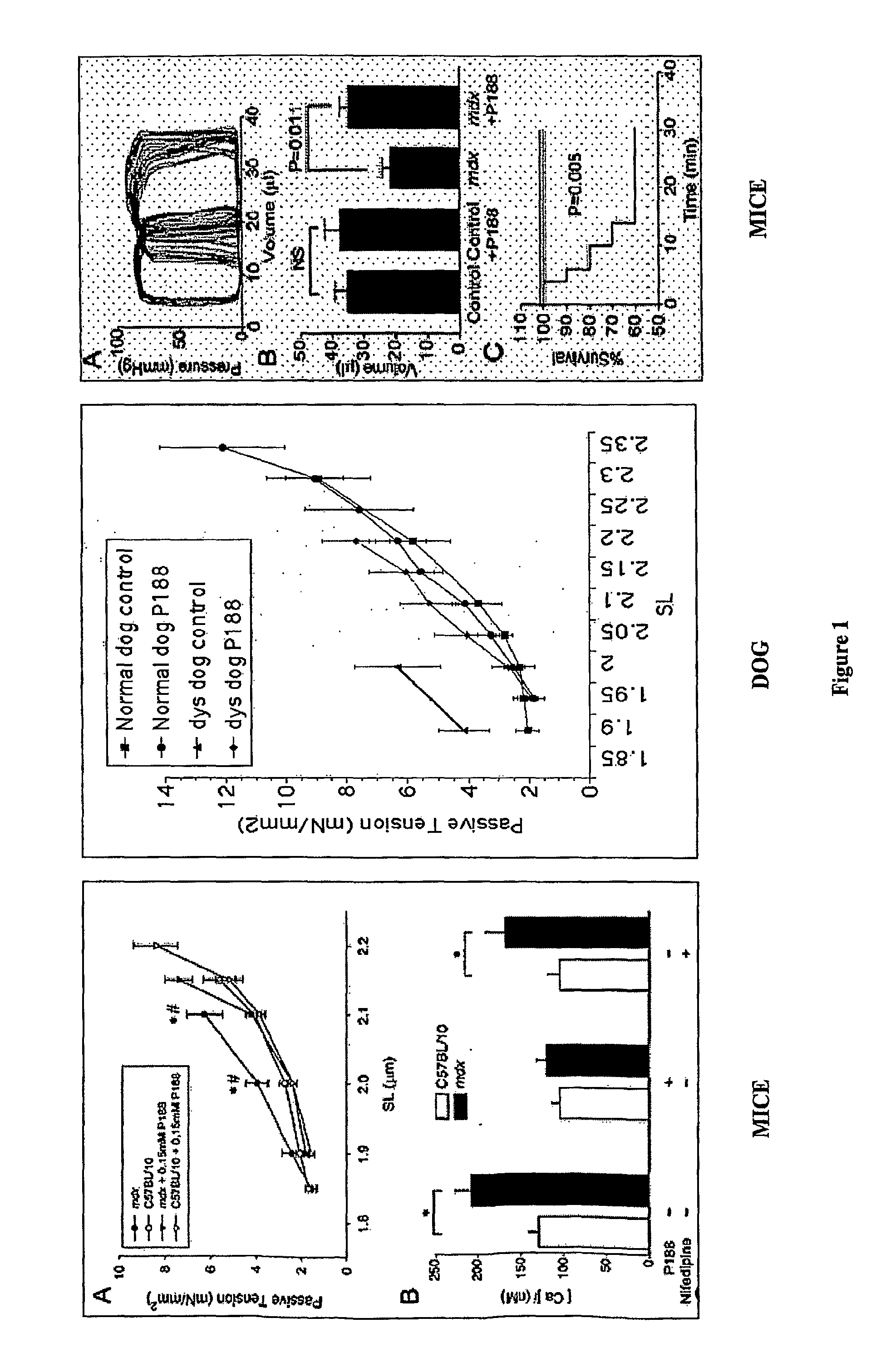 Treatment of chronic progressive heart failure