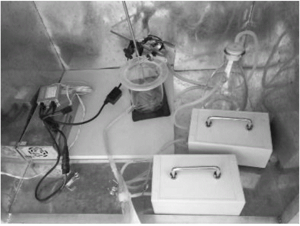 Device and method for removing volatile organic compounds in air by photocatalysis