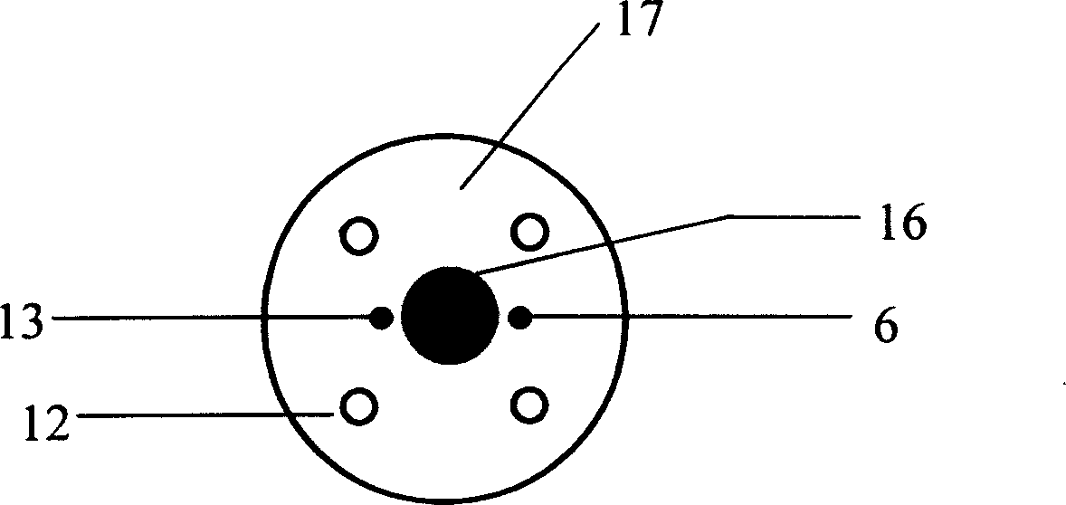 Neutral red blended silicon dioxide nano biological biological sensor and its preparing method