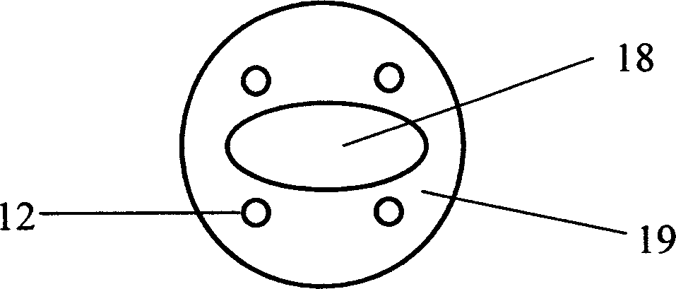 Neutral red blended silicon dioxide nano biological biological sensor and its preparing method