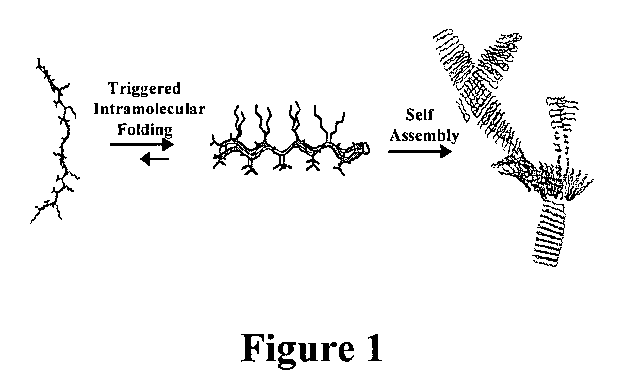 Novel hydrogels and uses thereof