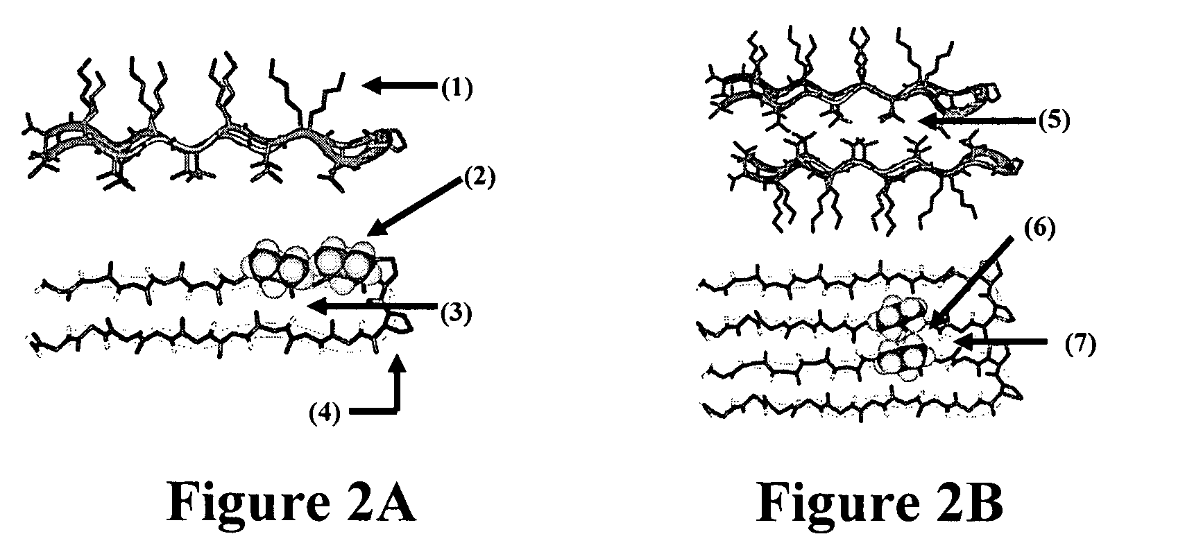 Novel hydrogels and uses thereof