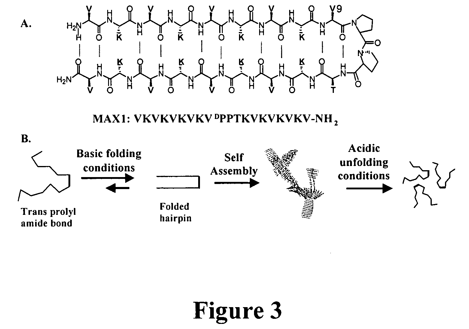 Novel hydrogels and uses thereof