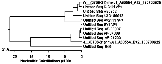 Strain of duck viral hepatitis virus and application thereof