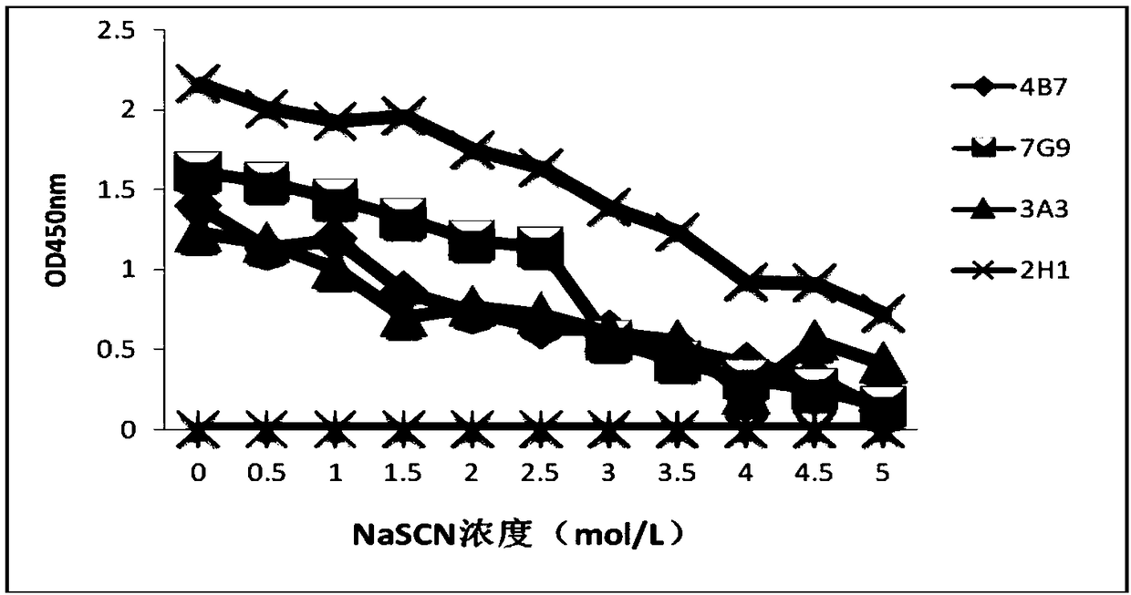 Foot-and-mouth disease virus non-structural protein 3B epitope peptide and application thereof