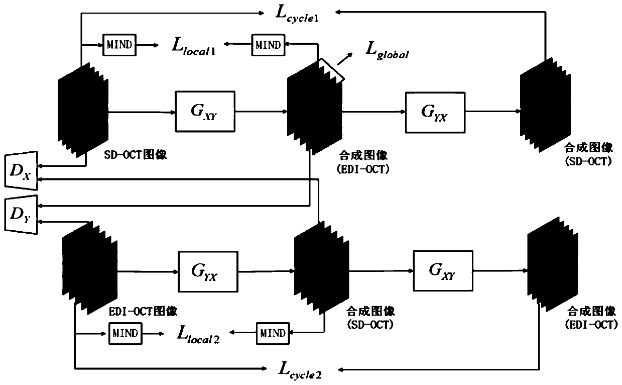 SD-OCT denoising method based on unsupervised adversarial neural network