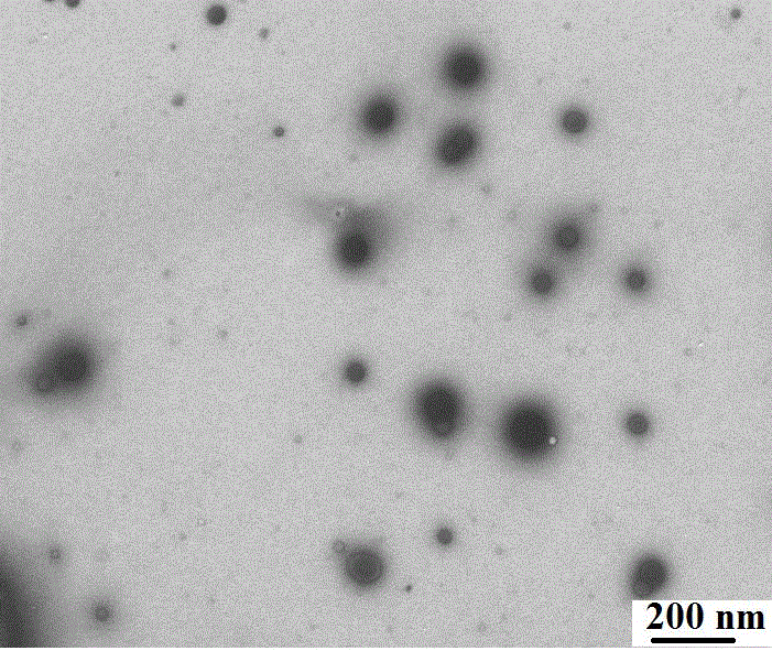 Drug carrier with end group modified by hydrogen sulfide fluorescent probe as well as preparation and application thereof