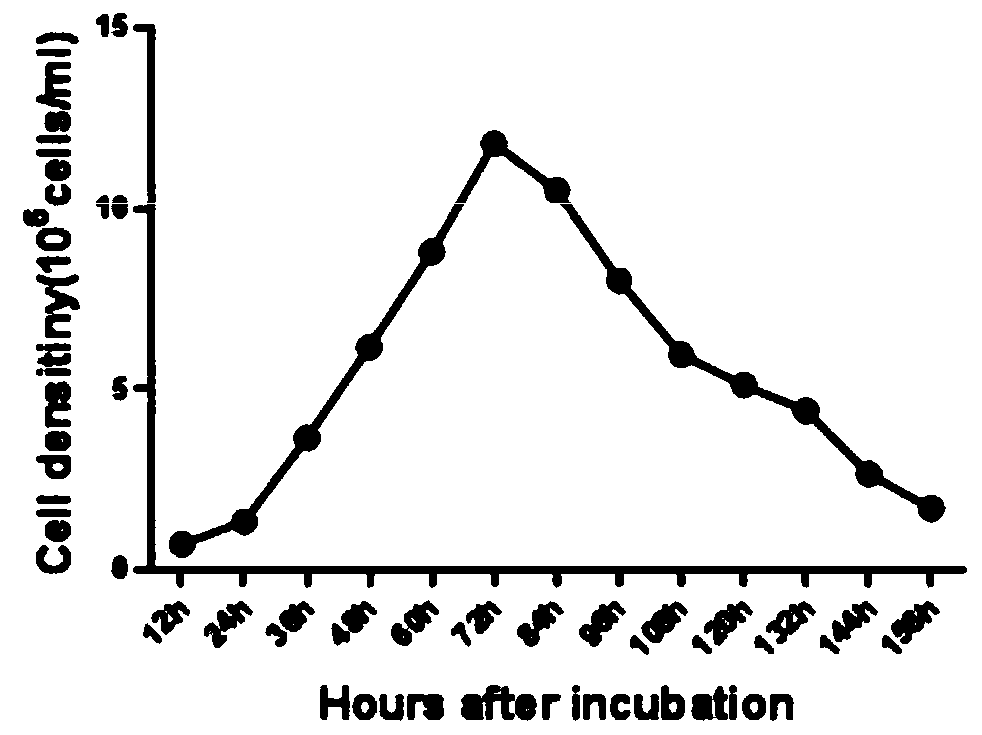 Method for preparing Seneca valley virus by utilizing suspension cell line