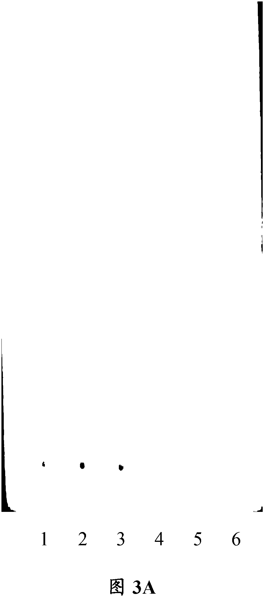 Yinchengao Decoction formula particles, and preparation method and detection method thereof