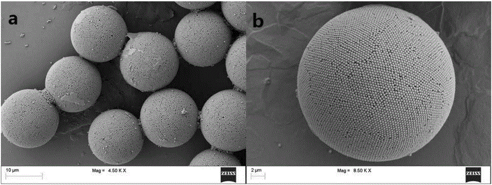 Microsphere with Raman activity and preparation method thereof