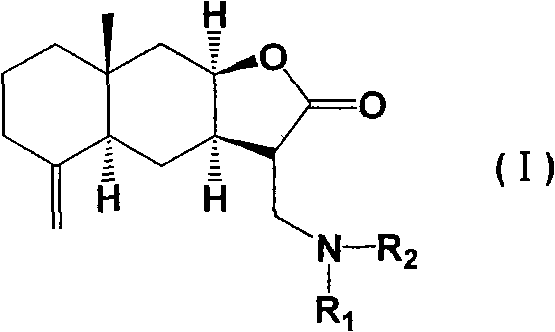 Isoalantolactone amino derivative and application of salt thereof in preparing anti-tumor medicament